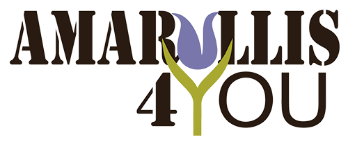 amaryllis4you